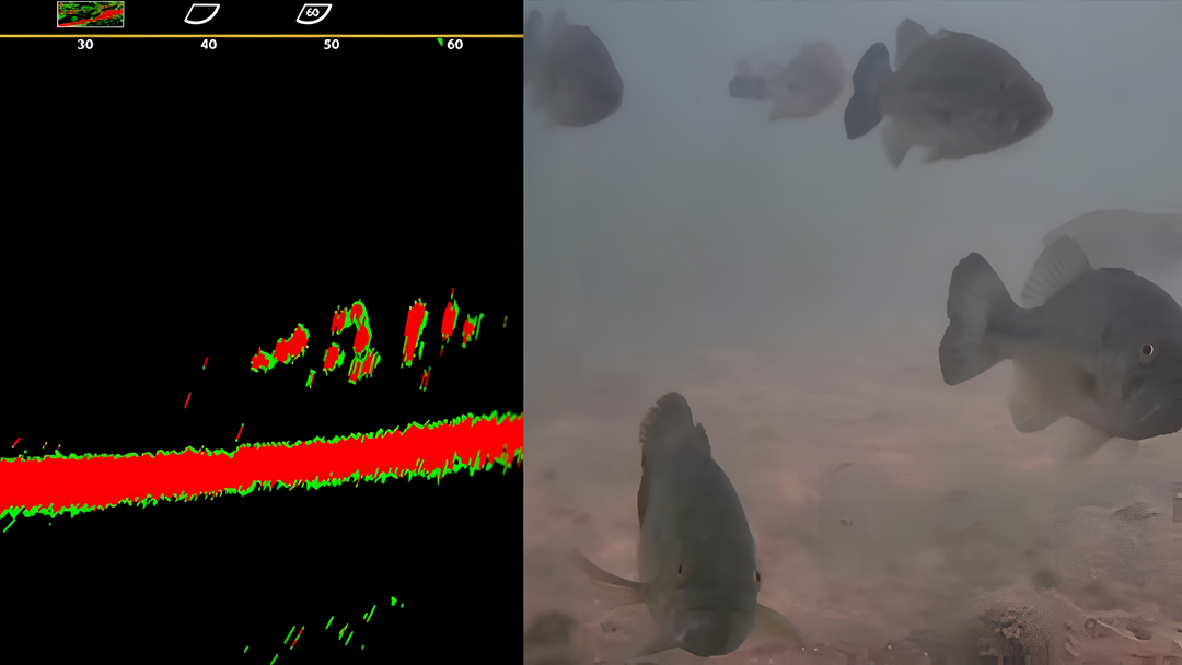 Why Every Angler Should Pair an Underwater Camera with Sonar