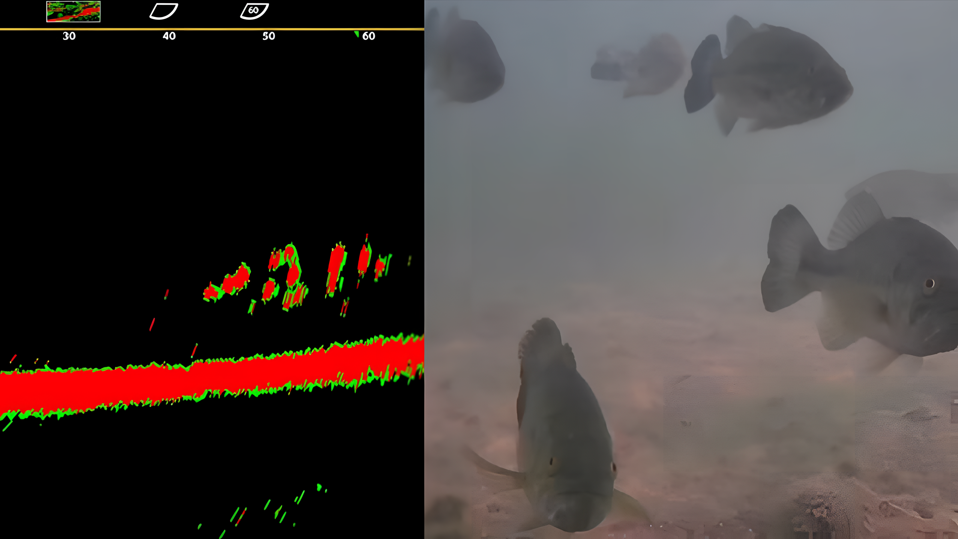 Why Every Angler Should Pair an Underwater Camera with Sonar