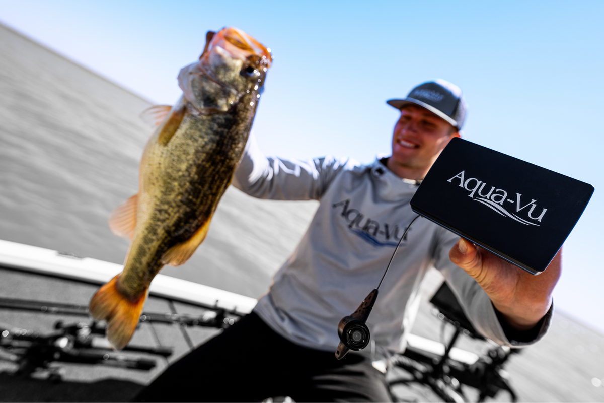 Angler using an Aqua-Vu Micro camera while bass fishing